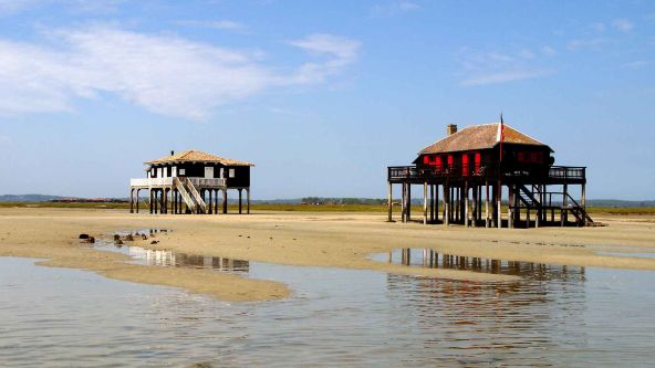 L'île aux Oiseaux et les cabanes tchanquées