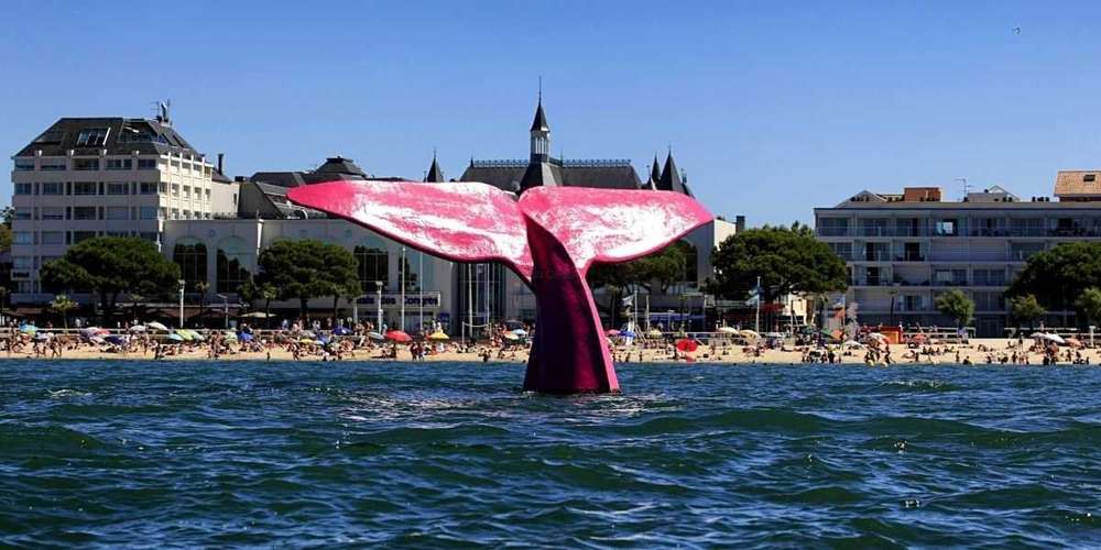 hotel arcachon bord de mer